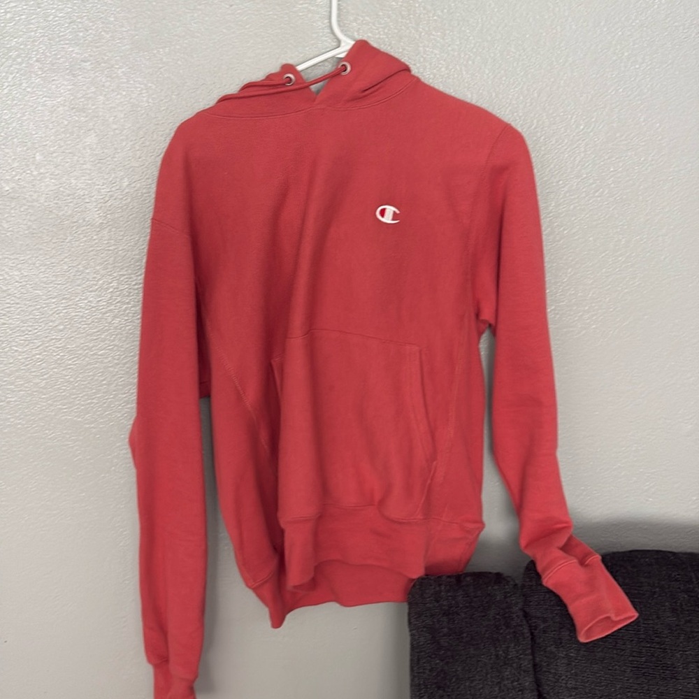 Champion Mens Hoodie